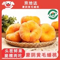 京地达 山东蒙阴黄金毛蟠桃 3斤大果 单果150g 生鲜水果 包邮