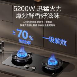 樱花卫厨 JZT-JGA12 5.2KW大火力 天然气 新一级能效双眼燃气灶