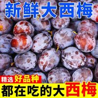 百亿补贴：摘果欢 重庆新鲜西梅 特大薄皮酸甜