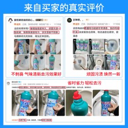亚乐 YL-01 洁厕剂 500ml*1瓶 去渍除菌除臭