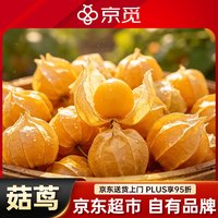京觅 东北姑娘果 净重1斤装 灯笼果黄菇娘洋菇茑 新鲜水果 源头直发