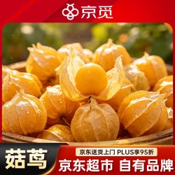 京觅 东北姑娘果 净重1斤装 灯笼果黄菇娘洋菇茑 新鲜水果 源头直发