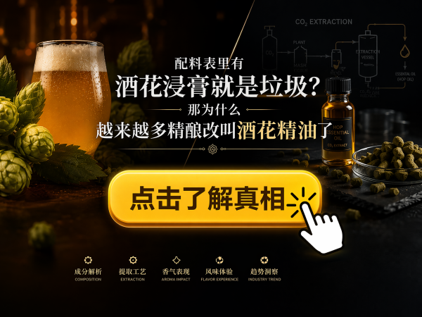今日必买:熊猫精酿 陈皮比利时小麦精酿啤酒 500mL 6罐
