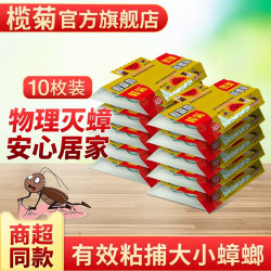 榄菊 蟑螂屋袋装5个 粘板 非蟑螂药 家用宿舍杀蟑螂