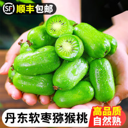 龙多鲜 顺丰送货上门丹东龙城2号软枣猕猴桃 东北软枣 奇异莓