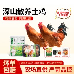 杨博士 童子鸡安徽高山散养小公鸡现杀鸡肉新鲜鸡子整只土鸡跑山鸡
