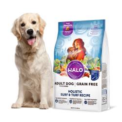 HALO 海陆盛宴成犬粮4磅*3