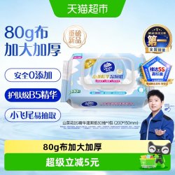 维达 山茶花湿厕纸 80片*1包