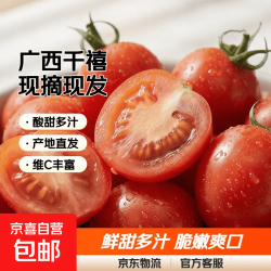 京东 广西正宗千禧圣女果小番茄现摘现发新鲜直达 5斤