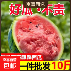 京东 头茬麒麟美都西瓜现摘现发新鲜西瓜无籽瓜老人孕妇新鲜水果一整箱 6-7斤