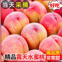 同甘园 新鲜水蜜桃 整箱5斤 精选100-180g
