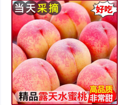 同甘园 新鲜水蜜桃 整箱5斤 精选100-180g