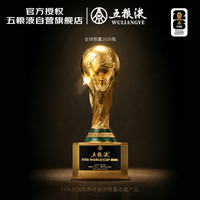 五粮液 美加墨世界杯 国际足联官方授权 大力神杯酒 52度 500ml 单瓶