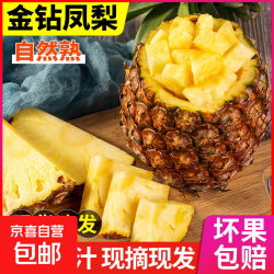 京东 金钻凤梨手撕小凤梨新鲜热带水果非菠萝 单果400-650g