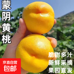 京东 山东蒙阴黄桃蜜油桃脆甜桃子新鲜水果当季水果爆汁应季整箱批发 带箱5斤净重4.5斤（单果80g+）