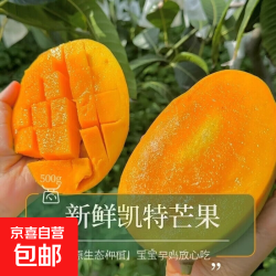 攀枝花 凯特芒 800g 单果 8斤装