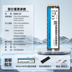 雷克沙 THOR PRO 雷神系列 NVMe M.2 固态硬盘（PCI-E 4.0）256G
