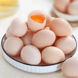 鲜鸡蛋 谷物土鸡蛋 50g*15枚 750g