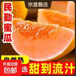 正宗甘肃民勤蜜瓜 黄金蜜瓜 9–10斤