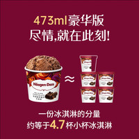 哈根达斯 比利时巧克力冰淇淋 473ml
