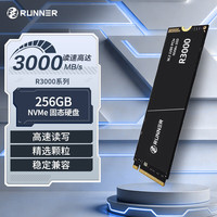 奔跑者 R3000 PCIe 3.0x4 256GB M.2 NVMe固态硬盘