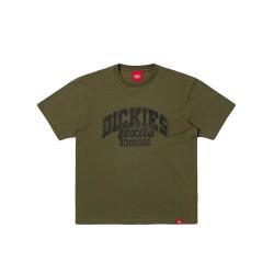 Dickies DK0A88E3 纯色字母印花 男士T恤