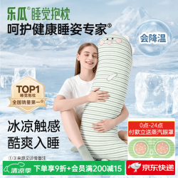 乐瓜 凉感可拆洗 加大恐龙-冰凉款 长条抱枕