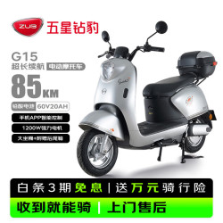 五星钻豹 长续航 电动摩托车 金属钛银