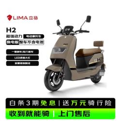 立马电动车 立马电动摩托车续航70km铅酸电池60V20AhH2乐享版电瓶车1200W大动力电机丝雾棕