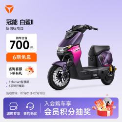雅迪 长续航 电动自行车