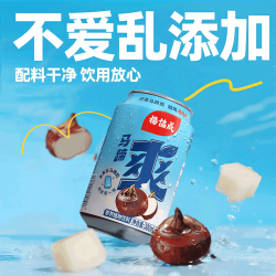 杨协成 原味马蹄爽果汁饮料 300ml*24罐