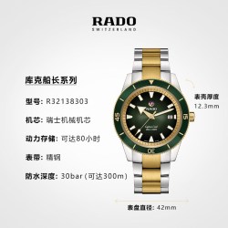 RADO 库克船长系列 男士自动机械表 R32138303 42mm