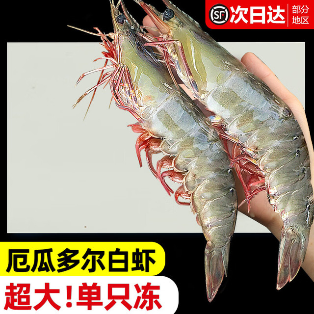 东上御品 厄瓜多尔白虾 盐冻 15-17cm 3斤