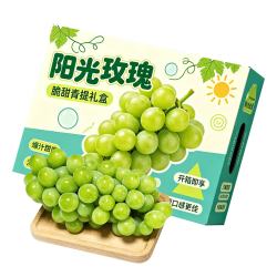 佟创 四川阳光玫瑰葡萄青提晴王香印水果现摘现发 净重4斤【单果8g+】