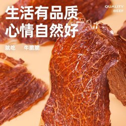 恩克 内蒙古薄脆风干牛肉干 100g/桶