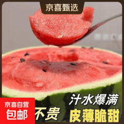 美都 正宗现摘麒麟西瓜 8-10斤装