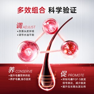 CABELO/卡蓓诺 头皮防脱精华液