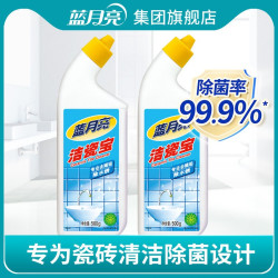 蓝月亮 瓷砖清洗剂 500g*1瓶 强力除垢 家用去污神器