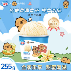 雀巢 冰淇淋 家庭杯香草味 255g*1杯