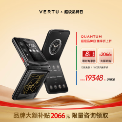 VERTU 威图 小折叠屏手机 金丝黑玛瑙 16GB+1TB 官方标配