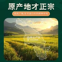 醉香福 五常大米 GB/T19266 长粒香粳米