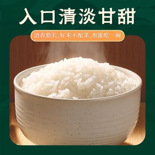 醉香福 五常大米 GB/T19266 长粒香粳米