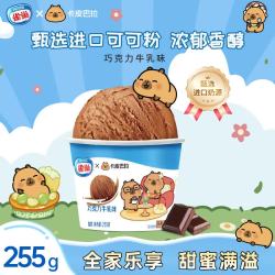 雀巢 家庭杯巧克力味冰淇淋 255g