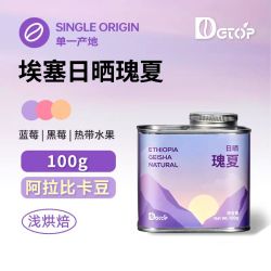 DGTOP 瑰夏手冲咖啡豆100g