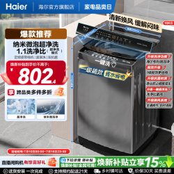 海尔 |海尔波轮洗衣机10kg大容量小型家用全自动除螨租房Z719
