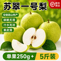 安徽特产砀山梨 250g+|净重5斤