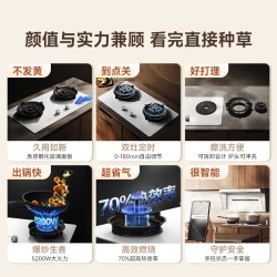 米家 JZT-MJ04C 智能定时 天然气 双灶嵌入式燃气灶