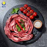 皓月 牛肉生鲜礼盒 多款组合 随心选择 牛肉生鲜冷冻清真牛肉食材 d 200A(牛肋排+菲力牛排+牛肉馅+牛肉饼)
