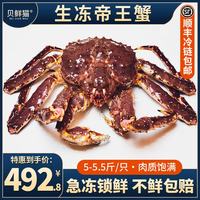 贝鲜猫 俄罗斯帝王蟹鲜活冰鲜 特大螃蟹腿 海鲜水产礼盒 净重5-5.5斤/只