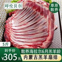 鲜羊官 内蒙呼伦贝尔草原散养羊肉 羊排生鲜 火锅烧烤食材清真 羊排3斤  羊排2500g